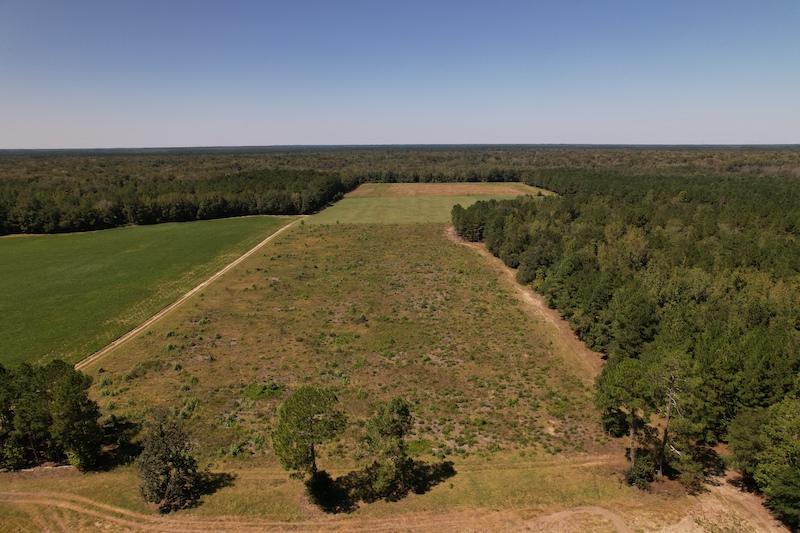 Evergreen, NC 39.7 acres Land and Farms Realty